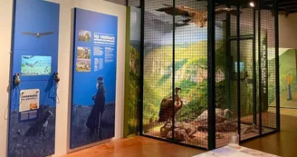 Musée - La volière Musée - La volière