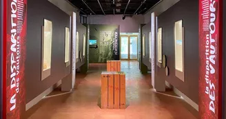Musée - La disparition Musée - La disparition