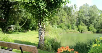 L'orchidee Home L'orchidee Home