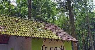 Sensation Nature - Accrobranche à Saints-Geosmes