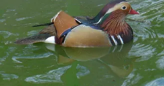 Parc animalier de la Bannie