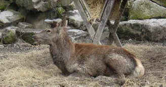 Parc animalier de la Bannie