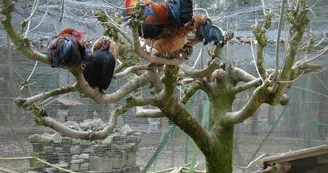 Parc animalier de la Bannie
