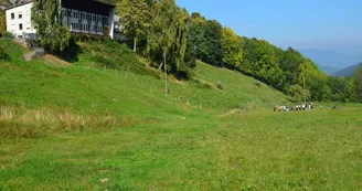 Centre de vacances Le Vallon Centre de vacances Le Vallon