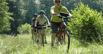 À VTT dans le Sundgau À VTT dans le Sundgau