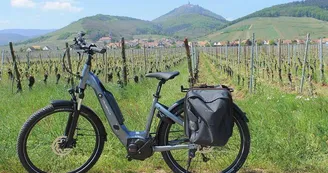 Location de vélos à assistance électrique Location de vélos à assistance électrique