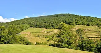 Aire de pique-nique - Sur la route du golf