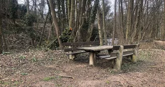 Aire de pique-nique - Geisbourg Aire de pique-nique - Geisbourg