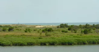 TORREILLES LOI PLAGE SUD
