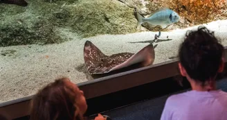 Biodiversarium (1)
