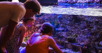 Biodiversarium (4)