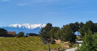 Paysage 2