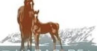 Haras de Pion Para