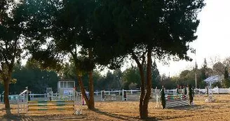 13T3000569_1_WEB.jpg