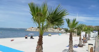 Plage de Massane Plage de Massane