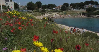 Plage de Carro_Martigues Plage de Carro_Martigues