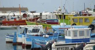 Port de Carro_Martigues