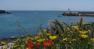Port de Carro_Martigues