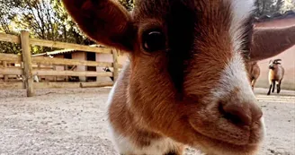 Ferme animalière d'Auriol_Auriol