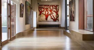 Musée Estrine Saint-Rémy-de-Provence_salle Musée Estrine Saint-Rémy-de-Provence_salle