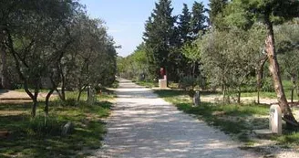 13T1000606_3_WEB.jpg 13T1000606_3_WEB.jpg