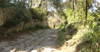Sentier des moulins Sentier des moulins