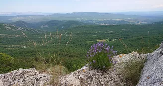 Massif de la Sainte Baume Massif de la Sainte Baume