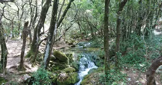 Source de l'Huveaune Source de l'Huveaune