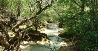 Source de l'Huveaune Source de l'Huveaune