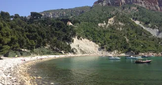 Anse de l'Arène_Cassis