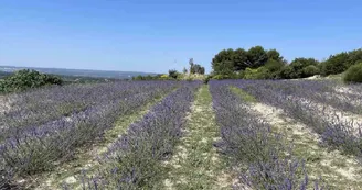 Extérieurs de la propriété