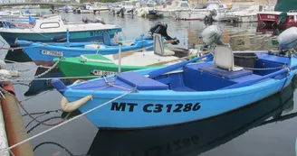 Port de l'Ile_Martigues