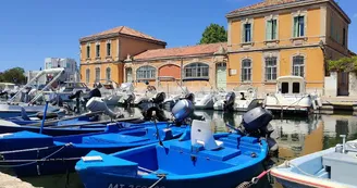 Port de l'Ile_Martigues
