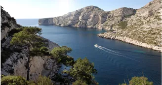 Calanque de Morgiou Marseille