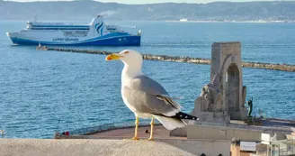 Location saisonniere Au coeur du Vallon des Auffes