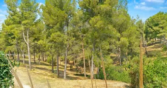 T3 avec piscine et jardin privé - Plage à 800 m T3 avec piscine et jardin privé - Plage à 800 m