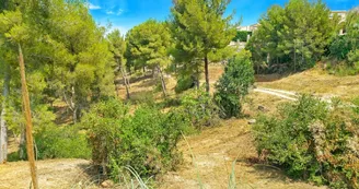 T3 avec piscine et jardin privé - Plage à 800 m T3 avec piscine et jardin privé - Plage à 800 m
