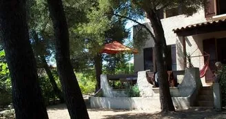 jardin jardin