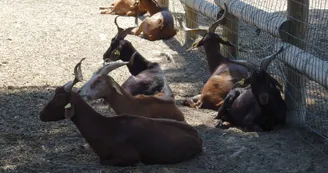 Ferme pédagogique du Parc de Figuerolles_Martigues