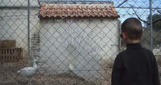 Ferme pédagogique du Parc de Figuerolles_Martigues