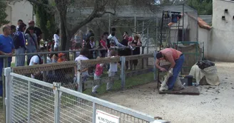 Ferme pédagogique du Parc de Figuerolles_Martigues