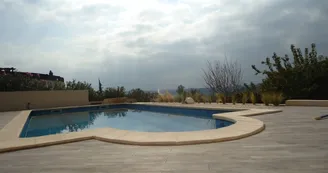 The view