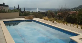 The view