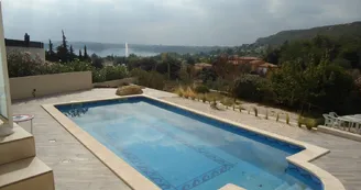The view