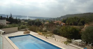 The view