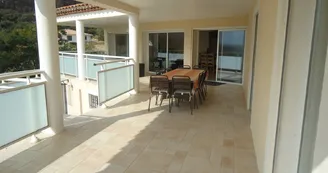 The view