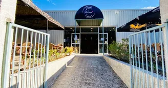 hadrien hadrien