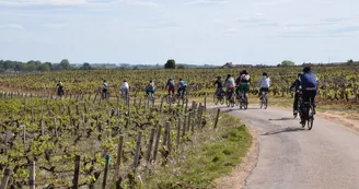 Balade-oenologique-Cote-de-Nuits-Bourgogne-velovitamine Balade-oenologique-Cote-de-Nuits-Bourgogne-velovitamine