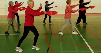 tai chi qi gong enchainement