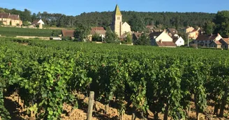 Fixin et ses vignobles Fixin et ses vignobles
